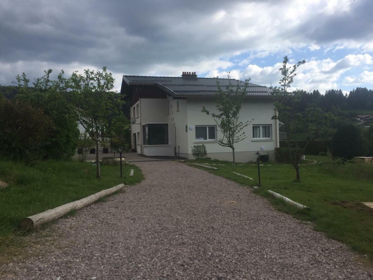 Entre Montagne Et Lac Gérardmer Екстериор снимка